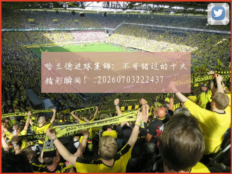 哈兰德进球集锦：不可错过的十大精彩瞬间！_20260703222437