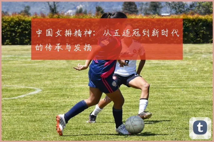 中国女排精神:从五连冠到新时代的传承与发扬