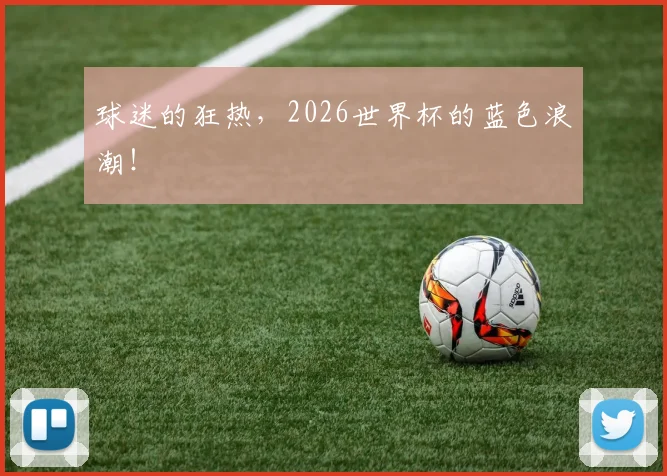 球迷的狂热,2026世界杯的蓝色浪潮!